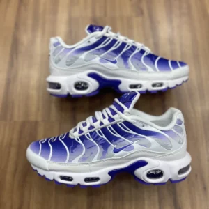 Air Max TN “Purple Dragon”