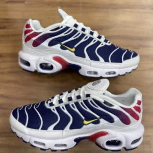 Air Max TN “PSG”